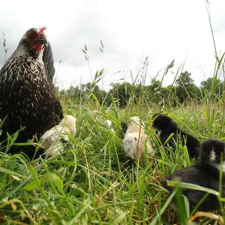 Apartament Bauernhof Diestel *