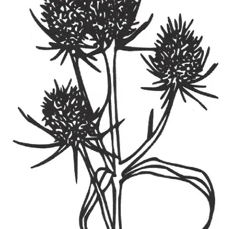 Bauernhof Diestel Apartman *