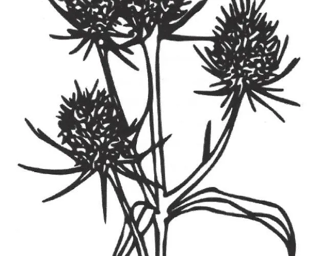 Bauernhof Diestel Апартаменты *